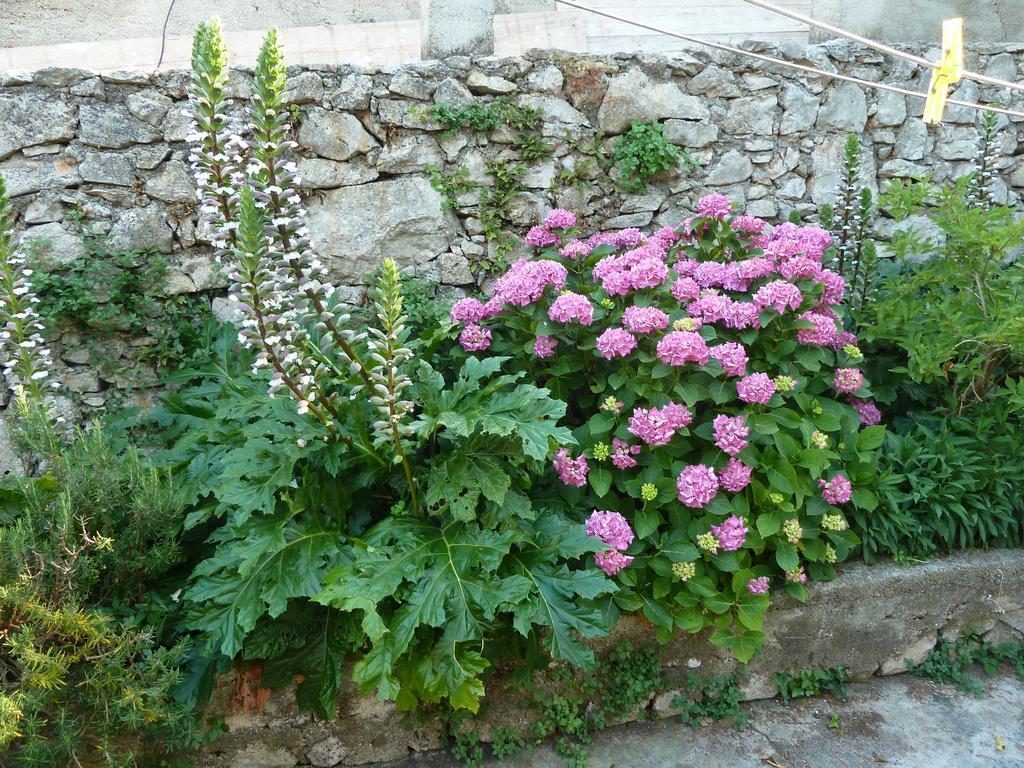 Nada * Veli Lošinj